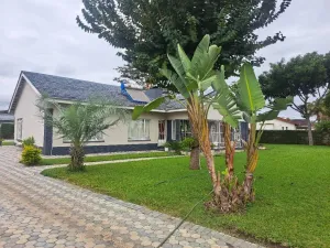 House to Rent