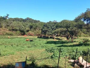 Farm for Sale
