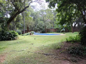 3 Bedroom House to Rent in Chisipite