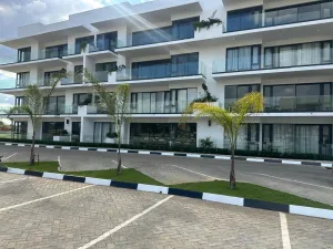 Flat/Apartment to Rent