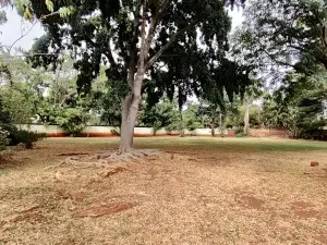 3 Bedroom House to Rent in Mount Pleasant