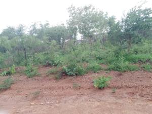 Residential Stand for Sale