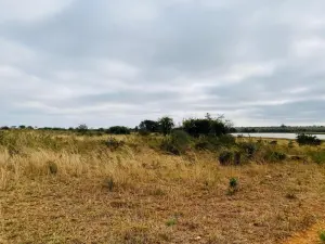 Land in Cement Side