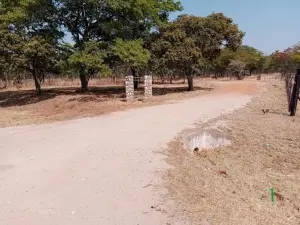 Farm to Rent