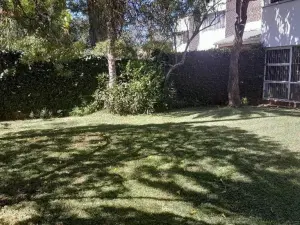 3 Bedroom Cottage/Garden Flat to Rent in Avondale