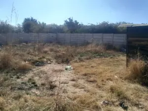 Stand for Sale