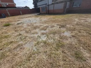 Commercial Property to Rent in Msasa
