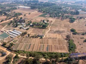 Farm for Sale