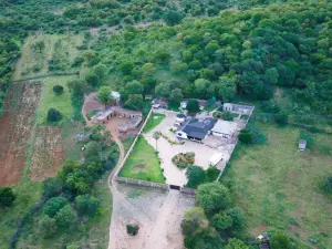 Commercial Property to Rent