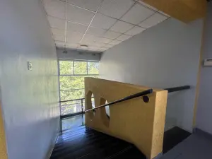 Commercial Property to Rent in Avondale