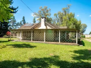House to Rent