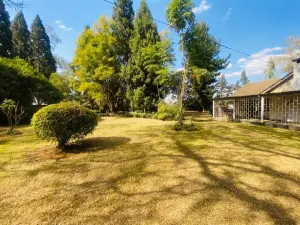 Commercial Property to Rent