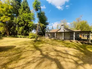 Commercial Property to Rent in Marlborough