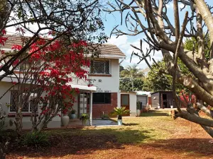Flat/Apartment to Rent
