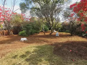 Flat/Apartment to Rent in Mount Pleasant