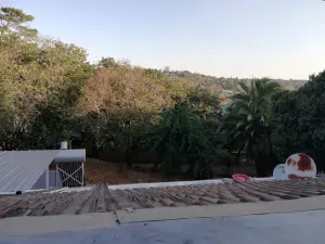 Flat/Apartment to Rent in Greystone Park
