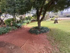 4 Bedroom House to Rent in Avondale