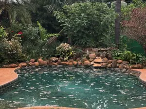 4 Bedroom House to Rent in Mount Pleasant
