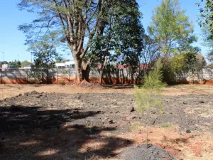 1 Bedroom Cottage/Garden Flat to Rent in Borrowdale