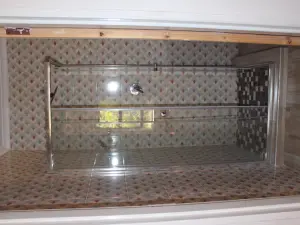 1 Bedroom Cottage/Garden Flat to Rent in Borrowdale