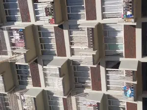 Flat/Apartment to Rent