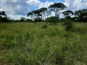 Farm for Sale
