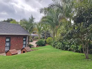 5 Bedroom House to Rent in Chisipite
