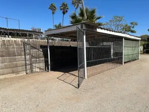 2 Bedroom Cottage/Garden Flat to Rent in Avondale