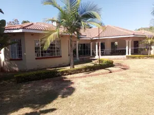 House to Rent