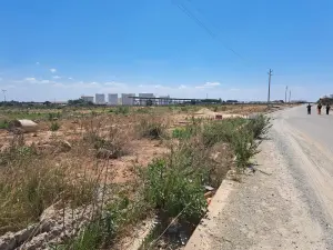 Farm for Sale