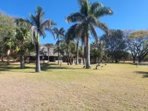Commercial Property for Sale