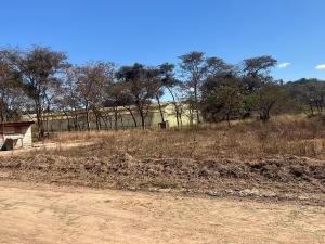 Residential Stand for Sale