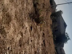 Stand for Sale in Mabvazuva Estates
