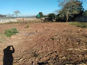 Stand for Sale
