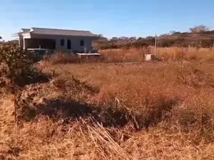 Stand for Sale