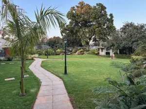Commercial Property to Rent