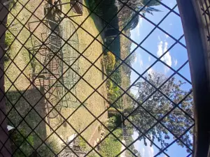 Flat/Apartment to Rent in Mabelreign