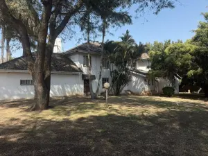 Commercial Property to Rent in Belgravia