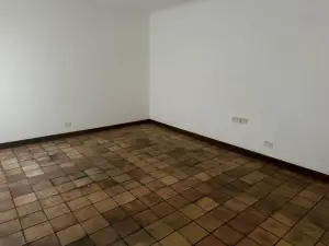 Commercial Property to Rent in Belgravia
