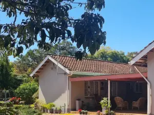 4 Bedroom House to Rent in Vainona