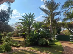 4 Bedroom House to Rent in Alexandra Park