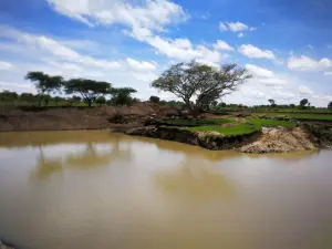 Farm for Sale