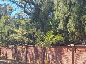 4 Bedroom House to Rent in Newlands