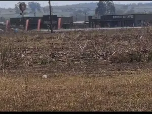Farm for Sale