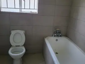 Commercial Property to Rent in Avondale