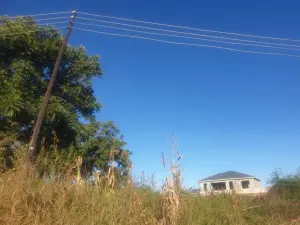 Stand for Sale