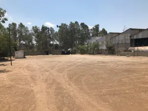 Commercial Property to Rent in Msasa