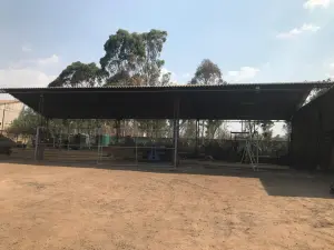 Commercial Property to Rent in Msasa