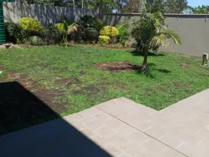 Townhouse/Complex/Cluster to Rent in Borrowdale