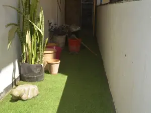 Flat/Apartment to Rent in Avenues